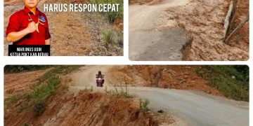 Ketua DPD PDKT Berau Desak Pemkab Segera Perbaiki Jalan Rusak yang Ancam Warga Tiga Kampung Terisolasi