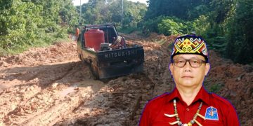 DPD PDKT Berau: Minta kepada Bupati dan DPRD Berau berikan Solusi untuk Pembangunan Jalan Kampung Siduung Indah! 