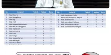 Ingatkan Batas Akhir Penyelesaian, BKN Minta Instansi Segera Selesaikan Seluruh Proses Seleksi PPPK