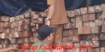 KPHP Berau Barat Amankan Truk Bermuatan Kayu Ilegal di Kecamatan Kelay