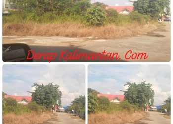 Semak Belukar Kepung Gedung LPSE Berau, Sorotan Tajam ke Kinerja OPD