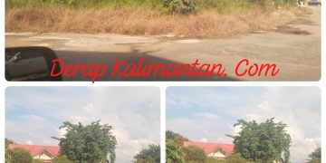 Semak Belukar Kepung Gedung LPSE Berau, Sorotan Tajam ke Kinerja OPD