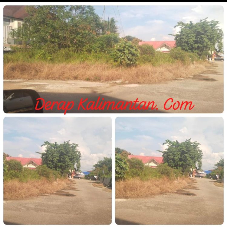 Semak Belukar Kepung Gedung LPSE Berau, Sorotan Tajam ke Kinerja OPD