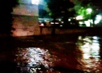 Prof. Dr. Sutan Nasomal Desak Presiden Prabowo Instruksikan Semua Menteri Cari Solusi Banjir Jakarta