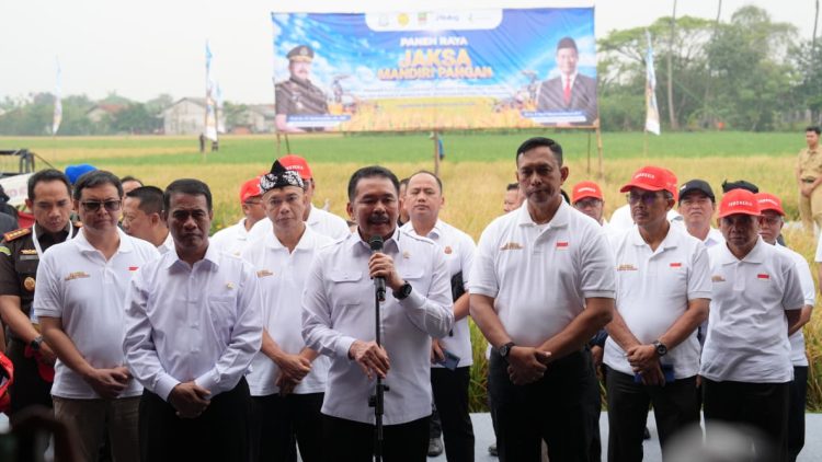 Lanjutkan Program Jaksa Mandiri Pangan,  Jaksa Agung Manfaatkan Lahan di Desa Srimahi