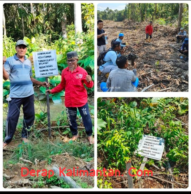 Konflik Agraria di Gunung Tabur Memanas, Kelompok Tani dan Dewan Adat, Laporkan Penyerobotan Lahan ke Polisi