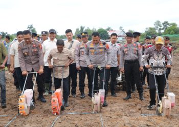 Dukung Program Asta Cita, Polres PPU dan Dinas Pertanian Tanam Jagung Dorong Ketahanan Pangan