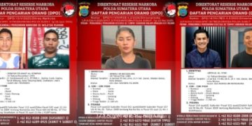 Polisi Buru Jaringan Narkoba di Sumut: Ardinal, Herina dan Gempar Selamat