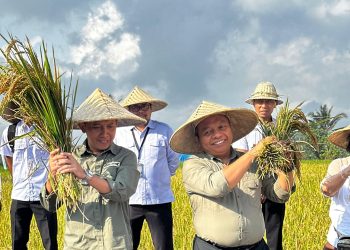 BPN Kabupaten Gianyar Gelar Panen Padi Organik Sekaligus Tandatangan Kerja Sama Implementasi Akses Reforma Agraria tahun 2025