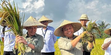 BPN Kabupaten Gianyar Gelar Panen Padi Organik Sekaligus Tandatangan Kerja Sama Implementasi Akses Reforma Agraria tahun 2025