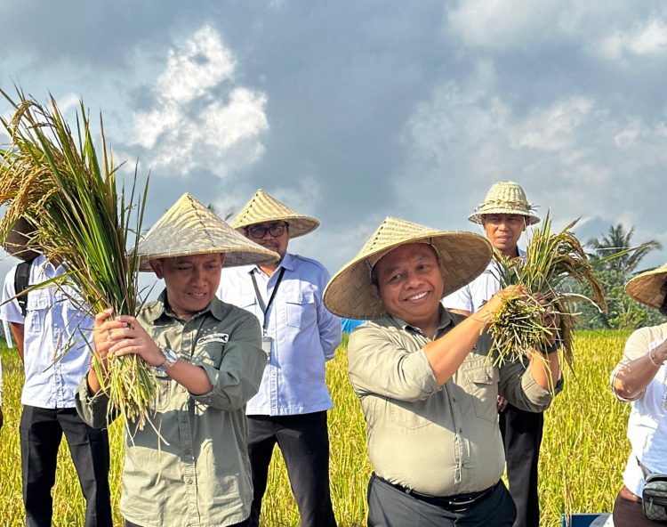 BPN Kabupaten Gianyar Gelar Panen Padi Organik Sekaligus Tandatangan Kerja Sama Implementasi Akses Reforma Agraria tahun 2025