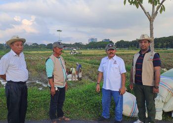 Tani Merdeka Indonesia Deli Serdang Ubah Lahan Kosong Jadi Lumbung Pangan Produktif