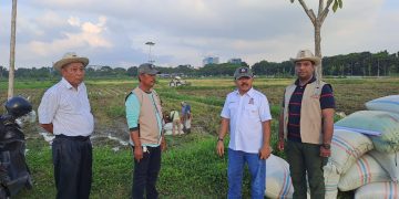 Tani Merdeka Indonesia Deli Serdang Ubah Lahan Kosong Jadi Lumbung Pangan Produktif