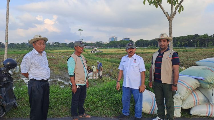 Tani Merdeka Indonesia Deli Serdang Ubah Lahan Kosong Jadi Lumbung Pangan Produktif