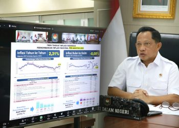 Kendalikan Harga Beras di 214 Daerah, Mendagri Dorong Pemda Dukung Penyaluran Beras SPHP