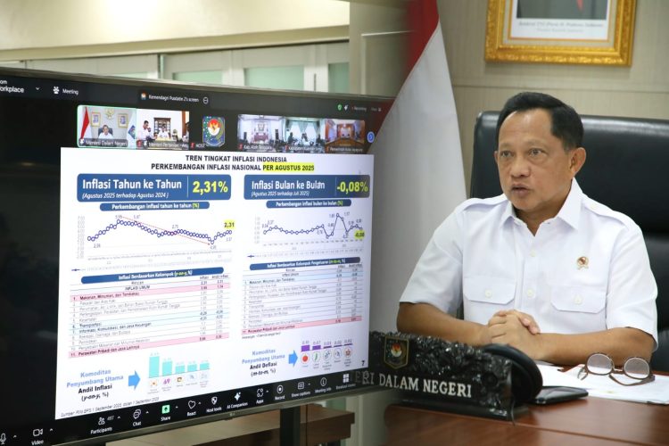 Kendalikan Harga Beras di 214 Daerah, Mendagri Dorong Pemda Dukung Penyaluran Beras SPHP