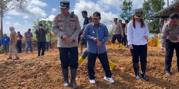 Sinergi Polres Mahakam Ulu, Pemkab, dan Kelompok Tani Subur Makmur Wujudkan Ketahanan Pangan Lewat Penanaman Jagung