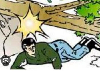 Penebang Kayu Tewas Tertimpa Pohon Saat Buka Lahan di Gunung tabur