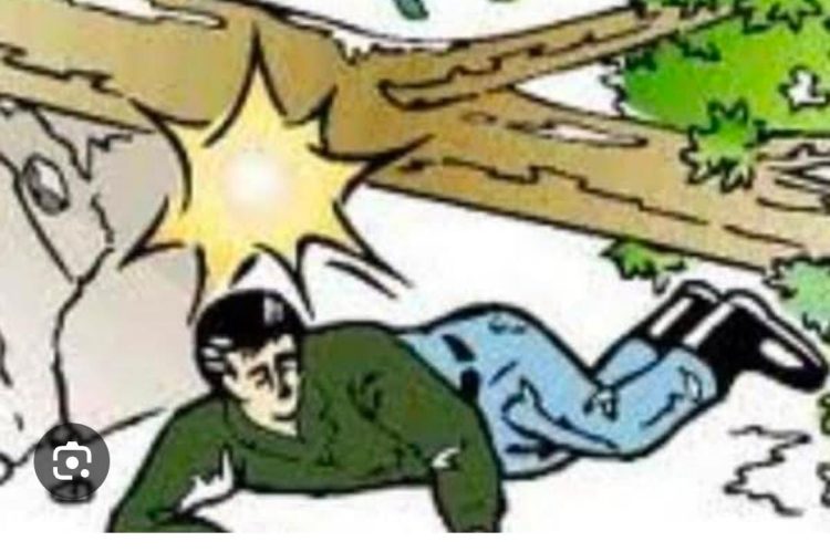 Penebang Kayu Tewas Tertimpa Pohon Saat Buka Lahan di Gunung tabur