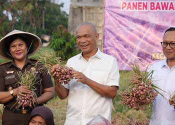 JAM-Intel Dukung Ketahanan Pangan  Lewat Panen Raya Bawang Merah di Tangerang