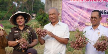 JAM-Intel Dukung Ketahanan Pangan  Lewat Panen Raya Bawang Merah di Tangerang