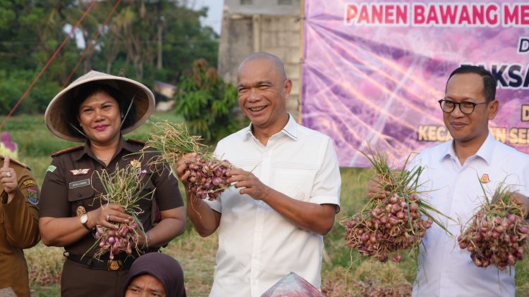 JAM-Intel Dukung Ketahanan Pangan  Lewat Panen Raya Bawang Merah di Tangerang