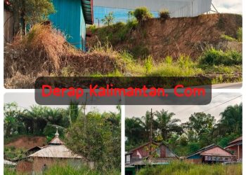 Misteri 2 Hektar Lahan Inhutani I Berau: Dugaan Gratifikasi Menguap, Diduga Masuk “Jatah” Oknum Pejabat