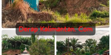 Misteri 2 Hektar Lahan Inhutani I Berau: Dugaan Gratifikasi Menguap, Diduga Masuk “Jatah” Oknum Pejabat