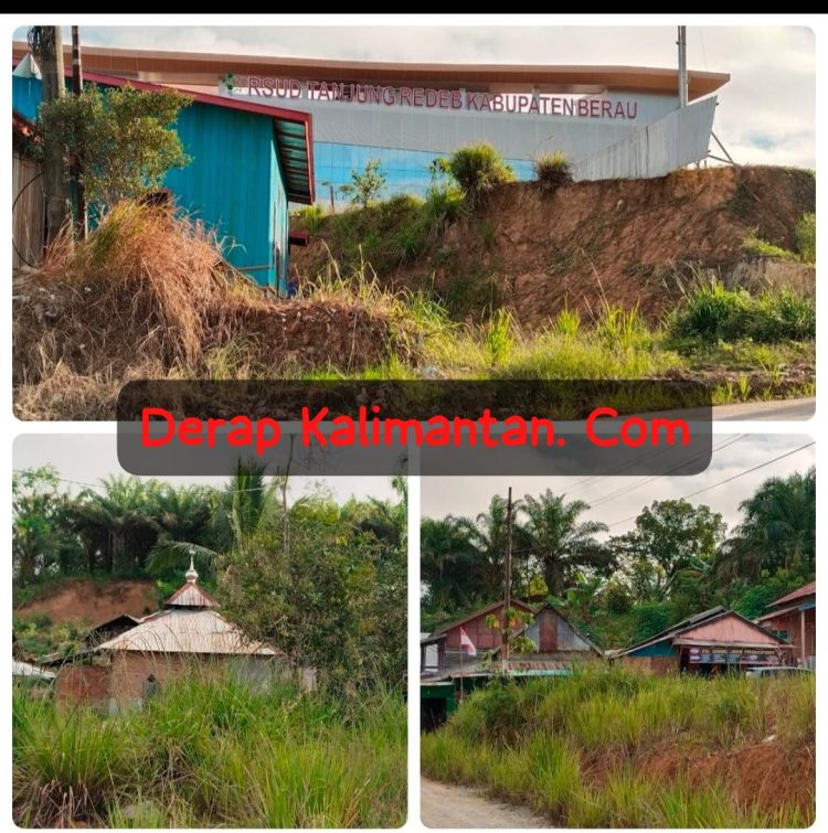 Misteri 2 Hektar Lahan Inhutani I Berau: Dugaan Gratifikasi Menguap, Diduga Masuk “Jatah” Oknum Pejabat