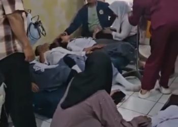 Prof Dr Sutan Nasomal Minta Presiden RI Evaluasi MBG Atau Stopp Agar Tidak Ada Lagi Korban Massal