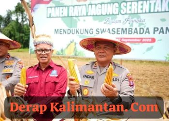 Dukung Program Kemandirian Pangan, Polda Kaltim Gelar Panen Raya Jagung Serentak Kuartal III Tahun 2025