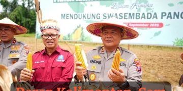 Dukung Program Kemandirian Pangan, Polda Kaltim Gelar Panen Raya Jagung Serentak Kuartal III Tahun 2025