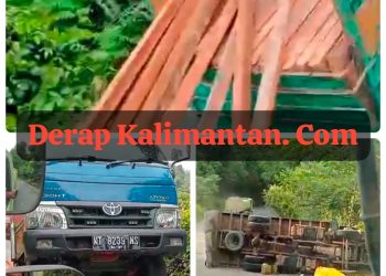 Truk Kayu yang Diduga  Ilegal Terguling di Jalan Poros Kelay, Bongkar Praktik Pembalakan Liar di Berau
