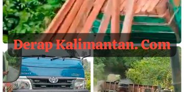 Truk Kayu yang Diduga  Ilegal Terguling di Jalan Poros Kelay, Bongkar Praktik Pembalakan Liar di Berau