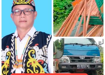 Ketua DPD PDKT Berau Desak APH Tindak Tegas Pembalakan Liar Usai Truk Kayu Ilegal Terguling di Gunung Juminten