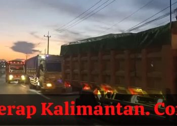 Satgas Penanggulangan Aktivitas Ilegal IKN Bersama Polda Kaltim Amankan 7 Truk Batubara dan Bongkar Aktivitas Ilegal di Kawasan Hutan