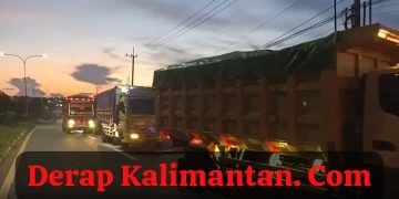 Satgas Penanggulangan Aktivitas Ilegal IKN Bersama Polda Kaltim Amankan 7 Truk Batubara dan Bongkar Aktivitas Ilegal di Kawasan Hutan