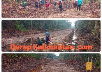 Proyek Pembukaan Lahan Ribuan Hektare di Berau Diduga Gunakan Dana Aspirasi Dewan Tanpa Papan Informasi