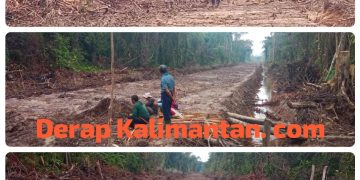 Proyek Pembukaan Lahan Ribuan Hektare di Berau Diduga Gunakan Dana Aspirasi Dewan Tanpa Papan Informasi