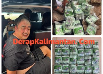 Polda Riau Gagalkan Penyelundupan 30 Kg Sabu di Pelabuhan Dumai