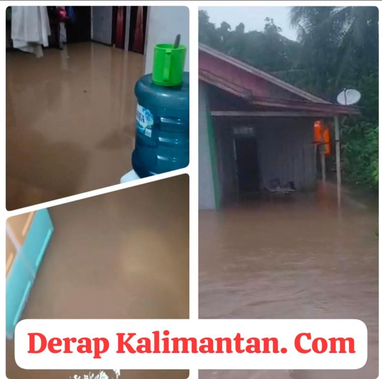 Hujan Deras dan Proyek Drainase Picu Banjir di Rinding, Warga Berau Keluhkan Gorong-Gorong Tinggi