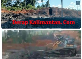 Suara Hanafiah di Tengah Raungan Alat Berat, “Diusir Demi Batu Bara”, Ada Air Mata Warga: Kejamnya PT Berau Coal  