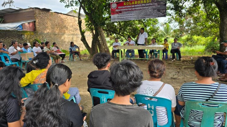 Peternak Babi Harap Pemerintah Salurkan Vaksin ASF Gratis