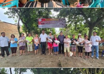 Dukung Ketahanan Pangan, Pemerintah Diminta Cepat Atasi Penyebaran Flu Babi