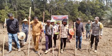 Bintara Penggerak Desa Ambarang Aipda Robet Faul Fran Laksanakan Penanaman Jagung 1 Desa 1 Hektar Menggunakan Bibit Hibrida F1 Pertiwi 3.