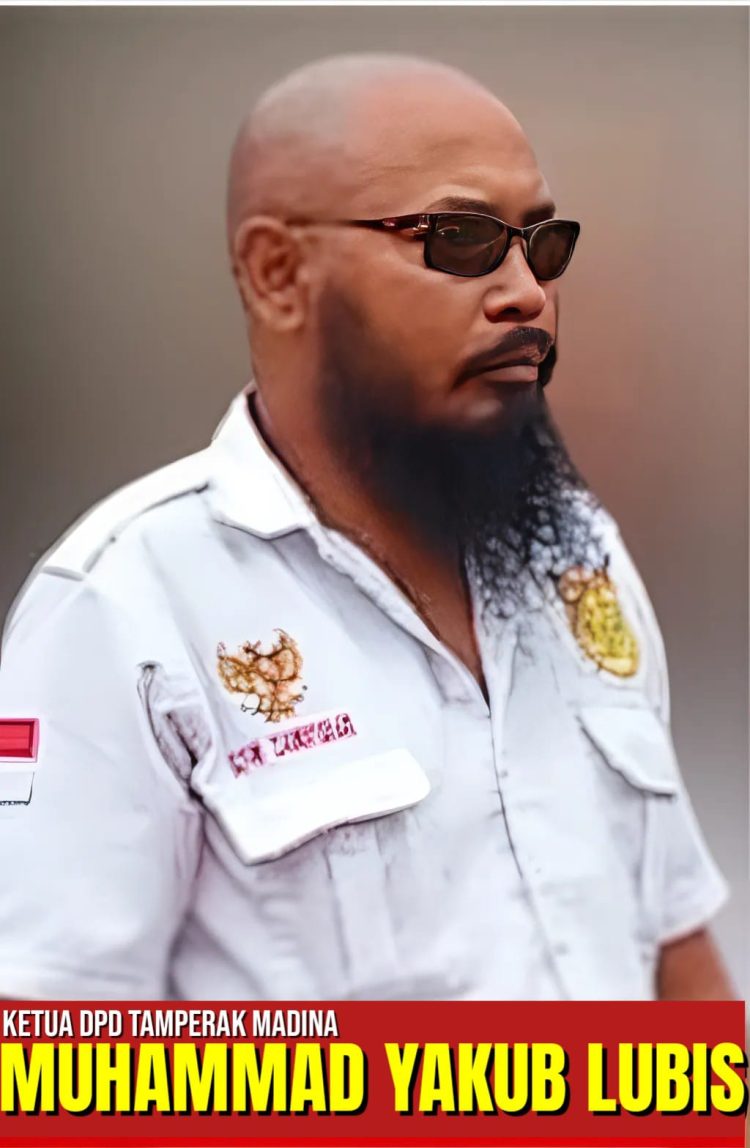 LSM TAMPERAK Soroti PETI dan Dugaan Kekebalan Hukum di Simpang Banyak Julu, Madina: Satu Penambang Tertimpa Longsor