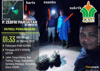 Dirut PTPN 4 Diminta Evaluasi Manajemen Gunung Pamela, Whistleblower Pencurian TBS Di-PHK