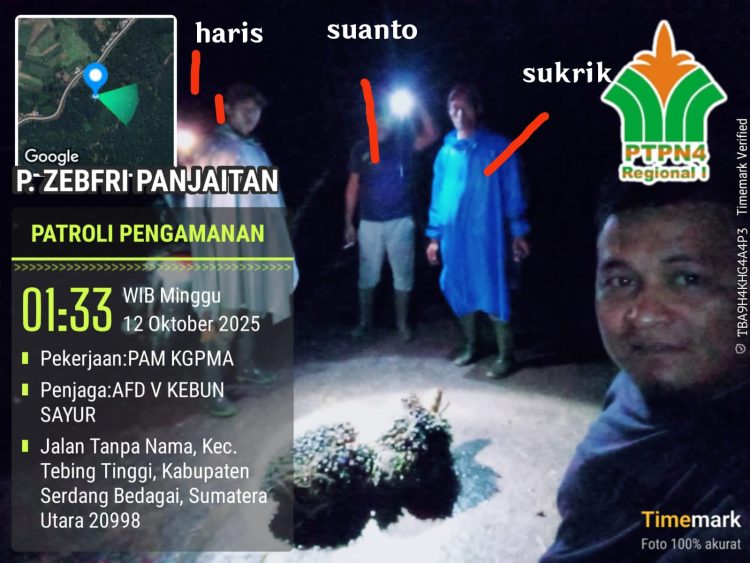 Dirut PTPN 4 Diminta Evaluasi Manajemen Gunung Pamela, Whistleblower Pencurian TBS Di-PHK