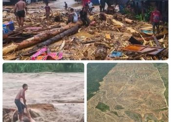 Oknum Serakah Hancurkan Alam di Sumut, Aceh, dan Sumbar: Formappel’ RI Layangkan Kecaman Keras