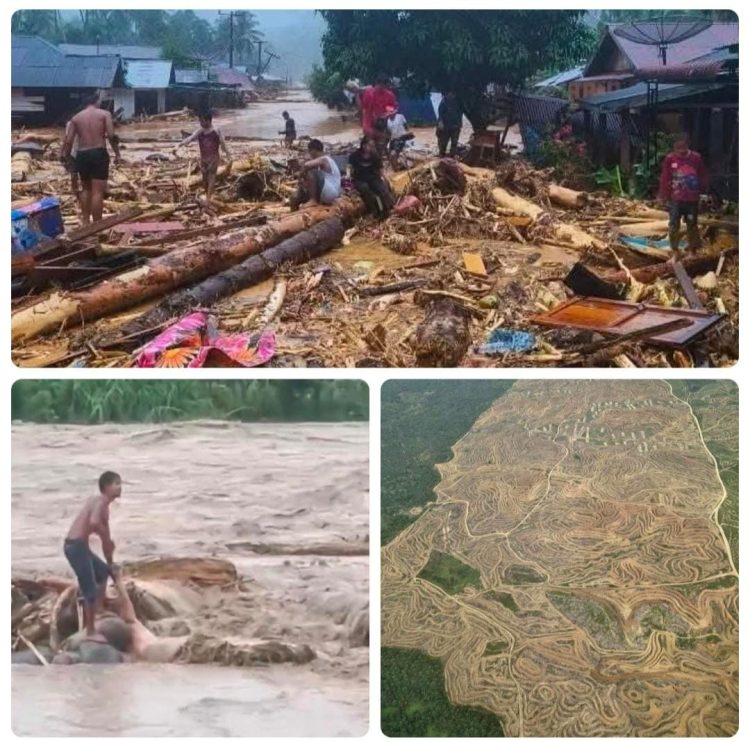 Oknum Serakah Hancurkan Alam di Sumut, Aceh, dan Sumbar: Formappel’ RI Layangkan Kecaman Keras